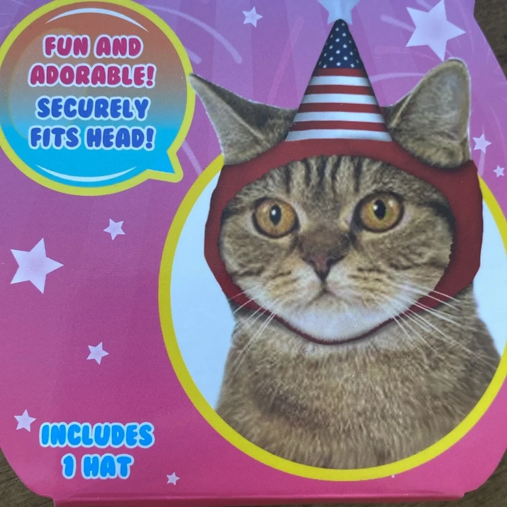 Patriotic American Flag Cat Hat